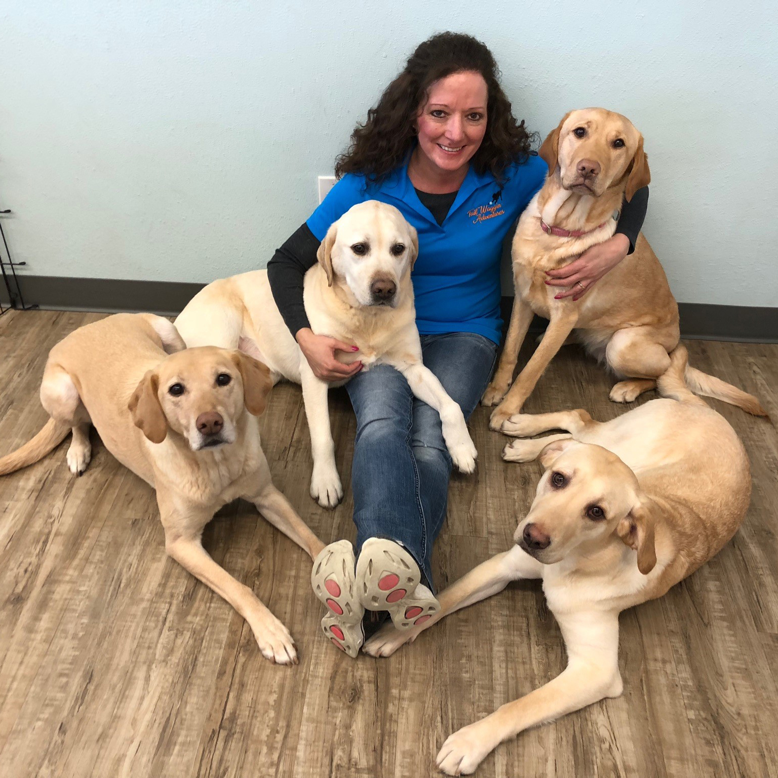 Reneedogs